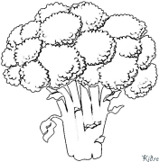 brocoli Coloriages À Imprimer